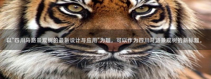 新宝gg网：以\