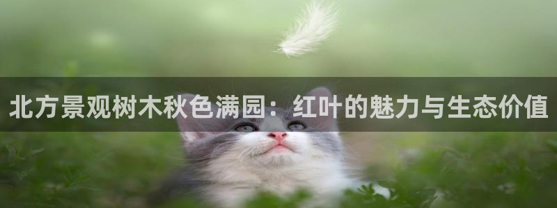 新宝gg注销