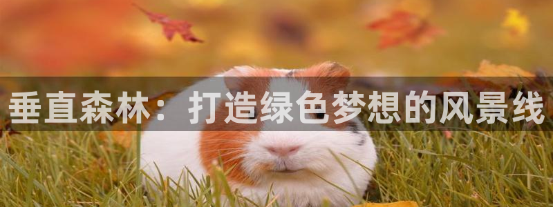 广东新宝电器gg