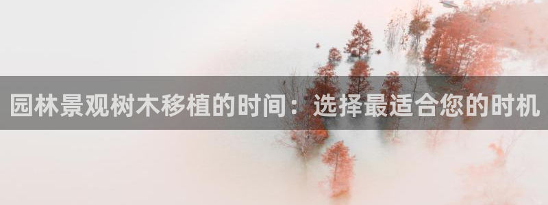 手机新宝gg