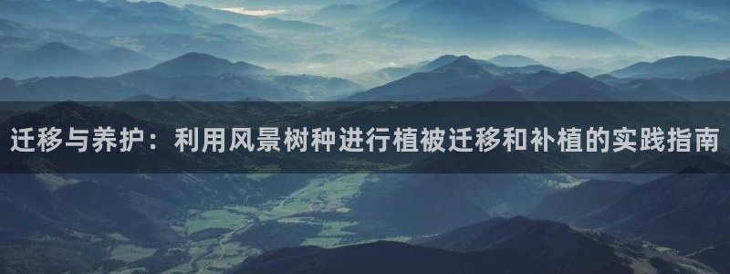 新宝gg论坛